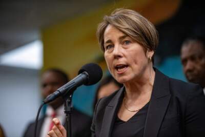 Gov. Maura Healey speaks to the news media. (Jesse Costa/WBUR)