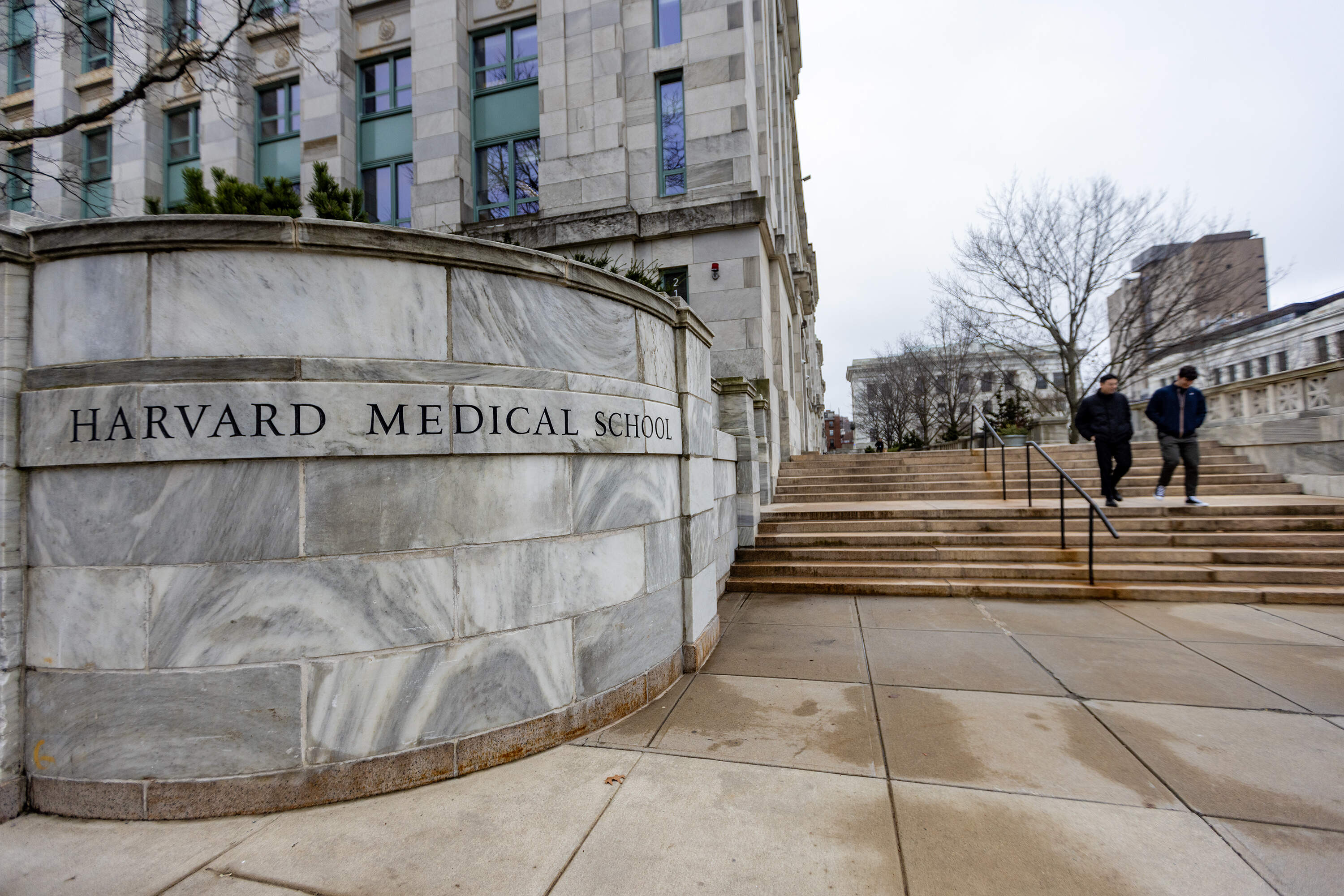 Harvard Medical School in Boston's Longwood neighborhood. (Jesse Costa/WBUR)