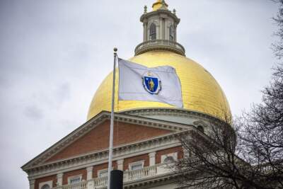 The Massachusetts State House and flag. (Jesse Costa/WBUR)