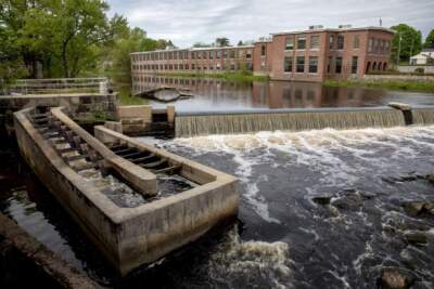 The Ipswich Mills Dam and fish ladder in Ipswich, Mass. (Robin Lubbock/WBUR)