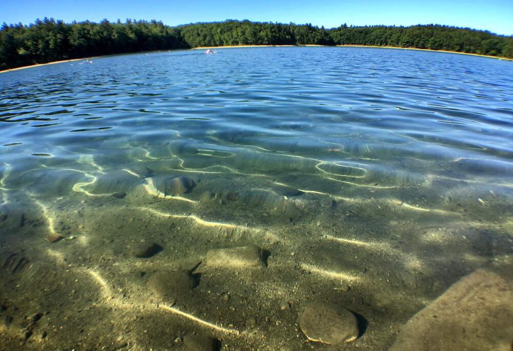 Walden Pond. (Robin Lubbock/WBUR)