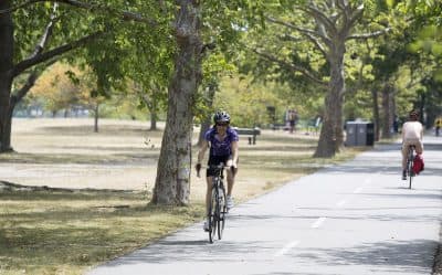 A woman rides a bike along the Esplanade. (Joe Difazio for WBUR)