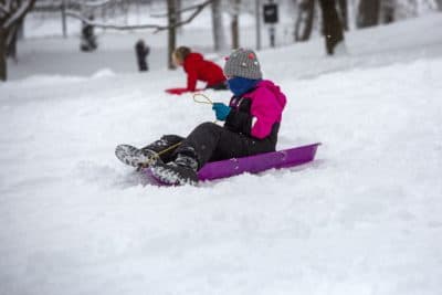 Sledders make their way down a hill on Boston Common on December 17, 2020. (Robin Lubbock/WBUR)