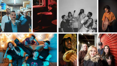 Top row, from left: Arto Vaun (Courtesy Brittany Rose Queen), Grayson Ty (Courtesy), Lake Street Dive (Courtesy Shervin Lainez), and Ivanna Cuesta (Courtesy Penelope Santana). Bottom row, from left: Salem Wolves (Courtesy Black Cherry Creative), Seventh Sun (Courtesy Jay Pics), and American Ocelot (Courtesy John Soares).