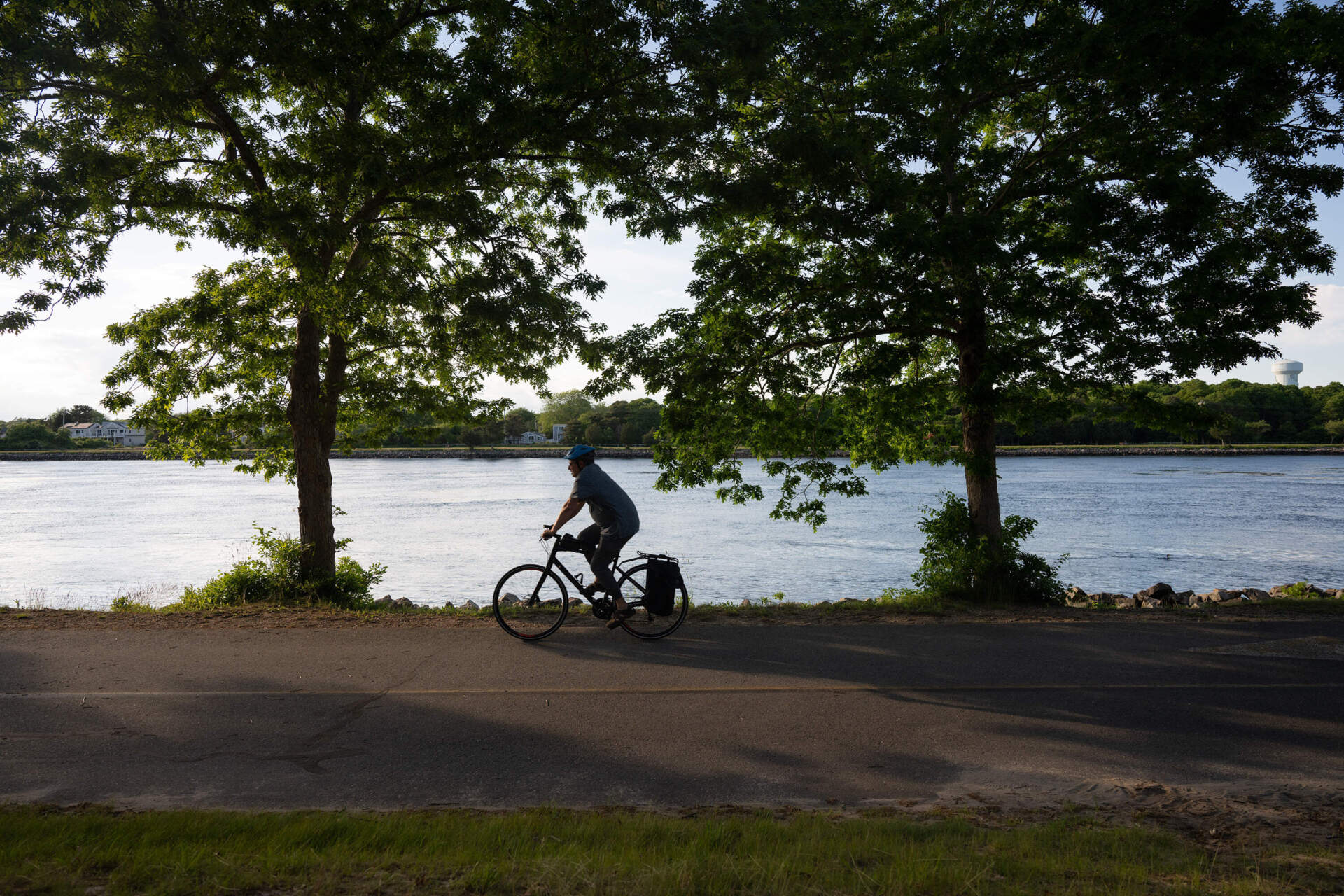 A person rides a bike along the Cape Cod Canal Bikeway in Bourne, Mass. in June 2024. (Raquel C. Zaldívar/New England News Collaborative)