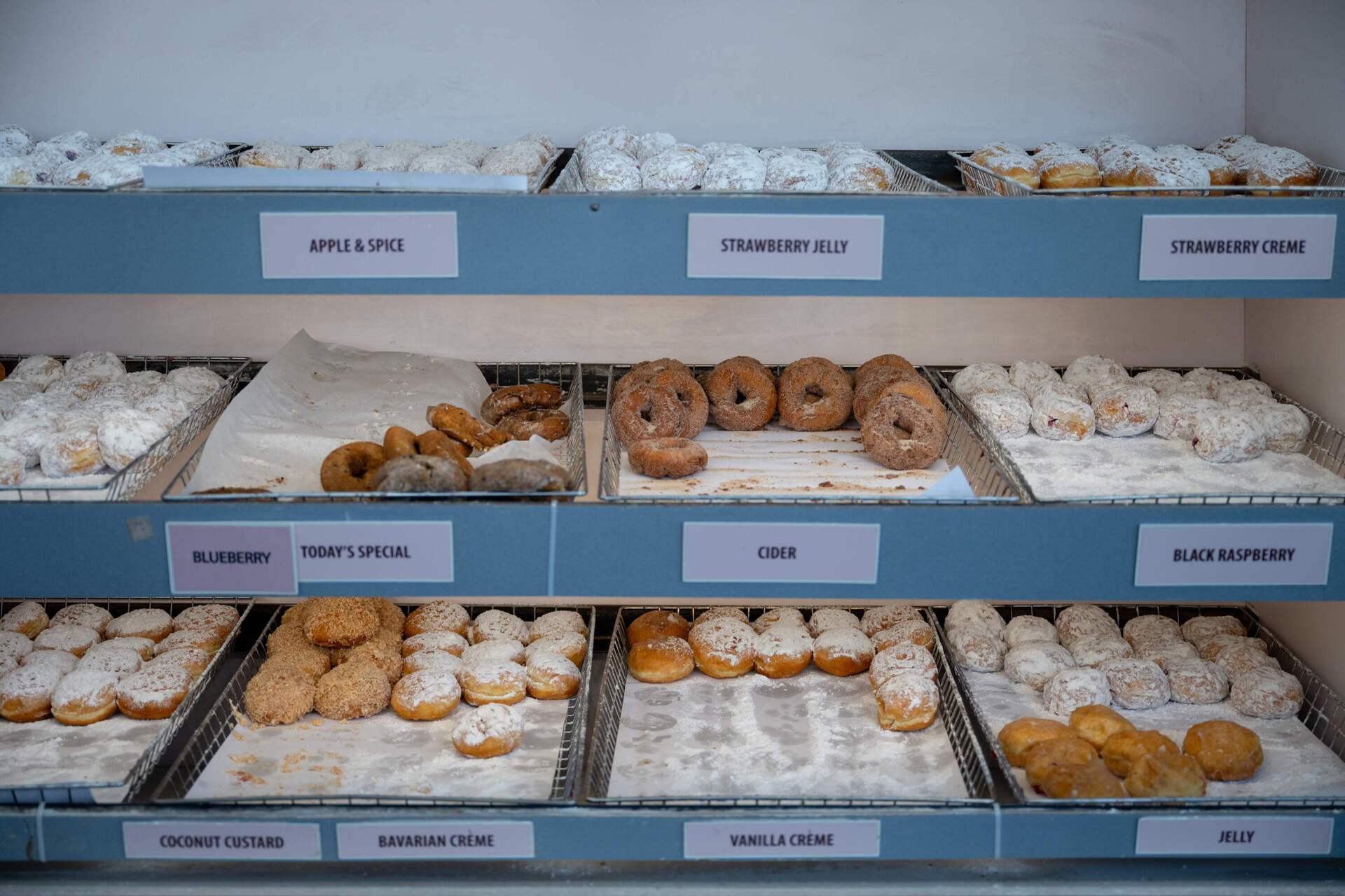 Donut Dip doughnuts in West Springfield, Mass. in June 2024. (Raquel C. Zaldívar/New England News Collaborative)