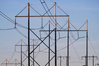 Power utility lines. (Robert F. Bukaty/AP)