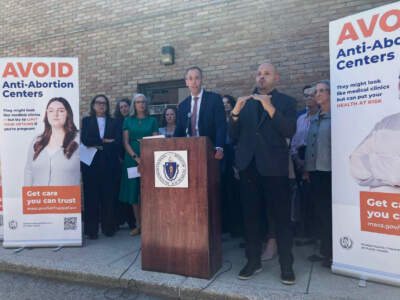 Department of Public Health Commissioner Robbie Goldstein speaks outside Women's Health Services on Monday, June 10, 2024. (Alison Kuznitz/SHNS)