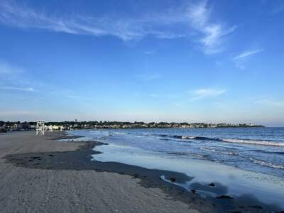 Easton’s Beach in Newport, Rhode Island. (Olivia Ebertz/The Public's Radio)