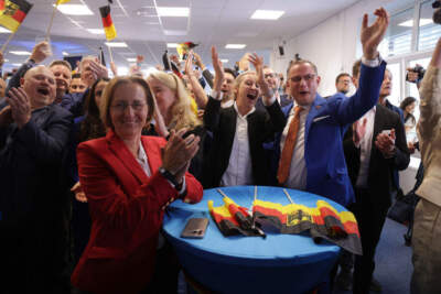 Elections to the European Parliament have been taking place since June 6 across European Union member states and are concluding tonight. (Sean Gallup/Getty Images)