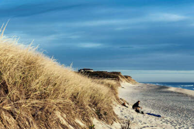 Early morning solitude on a beach on Cape Cod in Massachusetts. (John Greim/LightRocket via Getty Images)