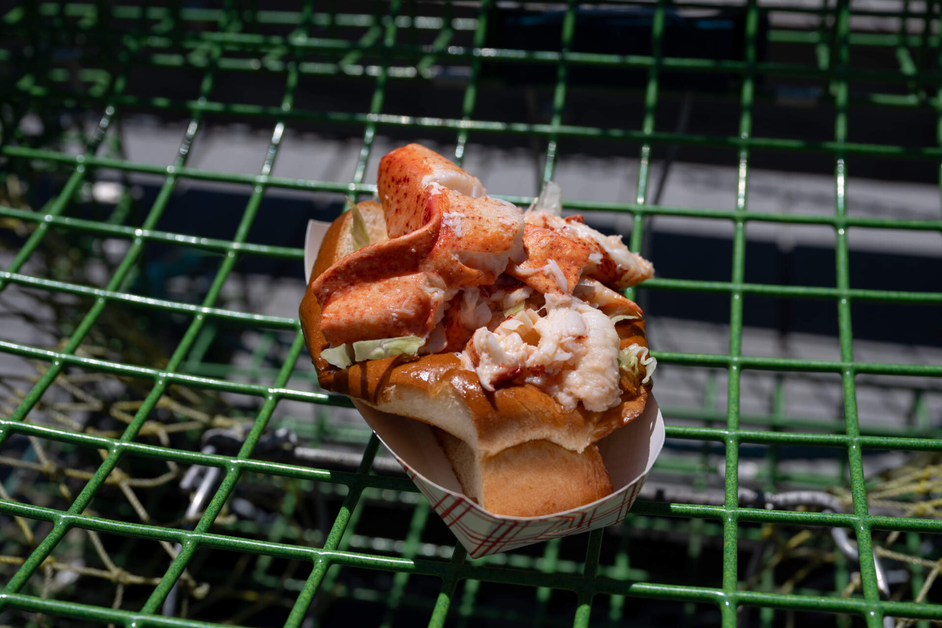 A lobster roll from the Chatham Pier Fish Market in June 2024. (Raquel C. Zaldívar/New England News Collaborative)