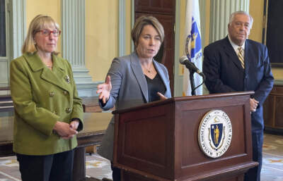 Gov. Maura Healey