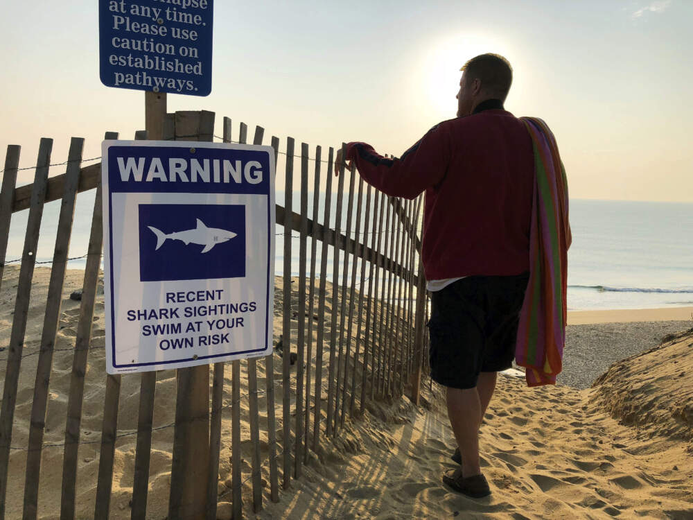 A person walks up to Long Nook Beach in Truro, on Cape Cod in 2018. (William J. Kole/AP)