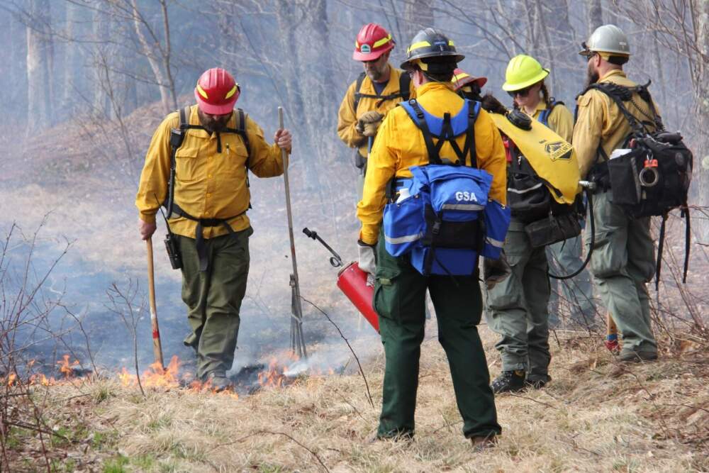 Forest Service firefighters travel from all over the country to help with the prescribed burning season. This year, crews came from Utah, Virginia, Colorado and Oregon. (Lexi Krupp/Vermont Public)