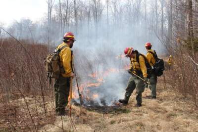 Staff from Vermont’s wildland fire team assist at a prescribed burn in Ripton this April. Dozens of these burns take place in the Green Mountain National Forest every spring to provide open areas for wildlife. (Lexi Krupp/Vermont Public)